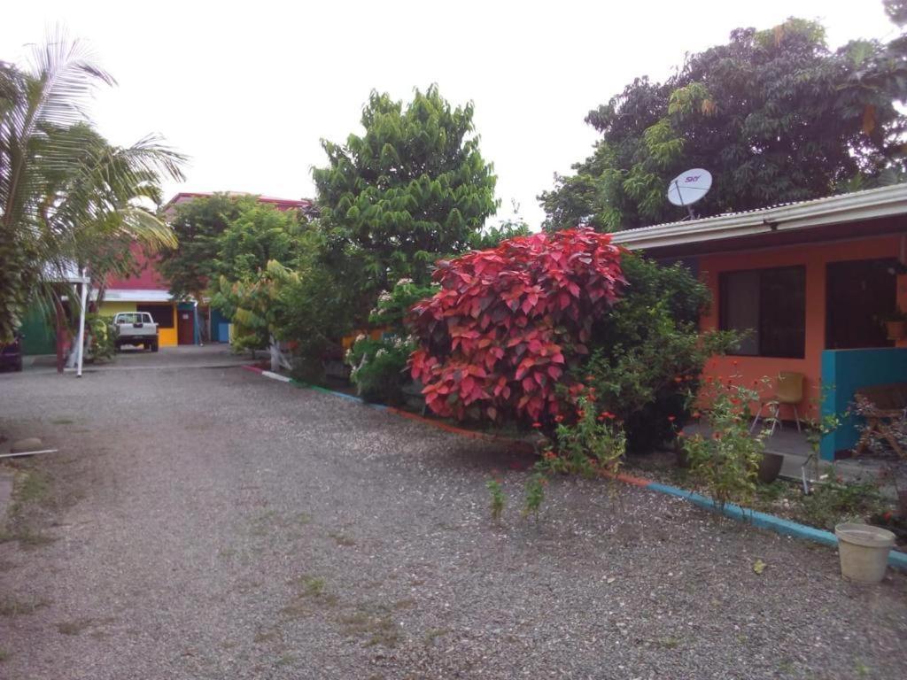 Cabinas Surf Side Cahuita Exteriér fotografie